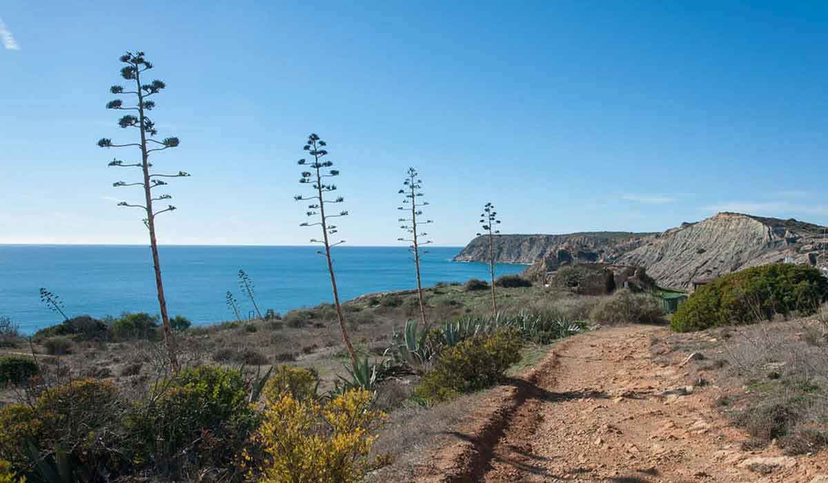 Hiking in Budens - Costa Vicentina Natural Park